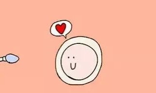 想造属龙和属龙的属相婚配可不可点这，姻缘怎样看完清楚