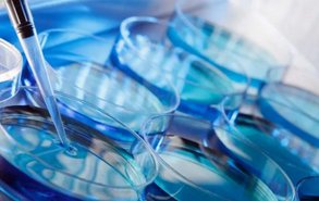 2026年在株洲市中心医院做三代试管婴儿指南！怀孕成功率多少供您参考